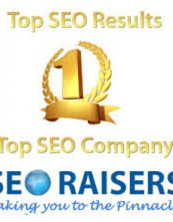 Seoraisers – Top SEO Company