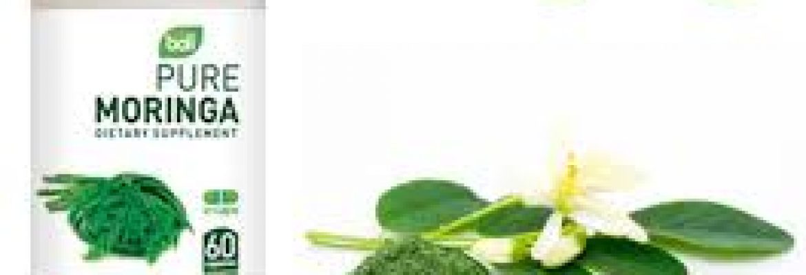 Organic Moringa Leaves | Leaf Powder | Oil Manufacturers, Wholesale