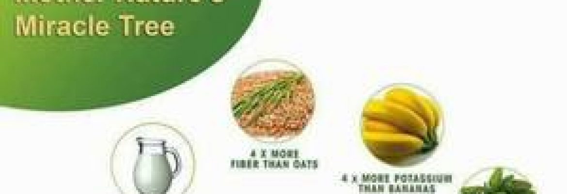 Moringa Seed Powder Manufacturers | Grenera moringa wholesale